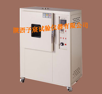 LR-热老化试验箱(图1)